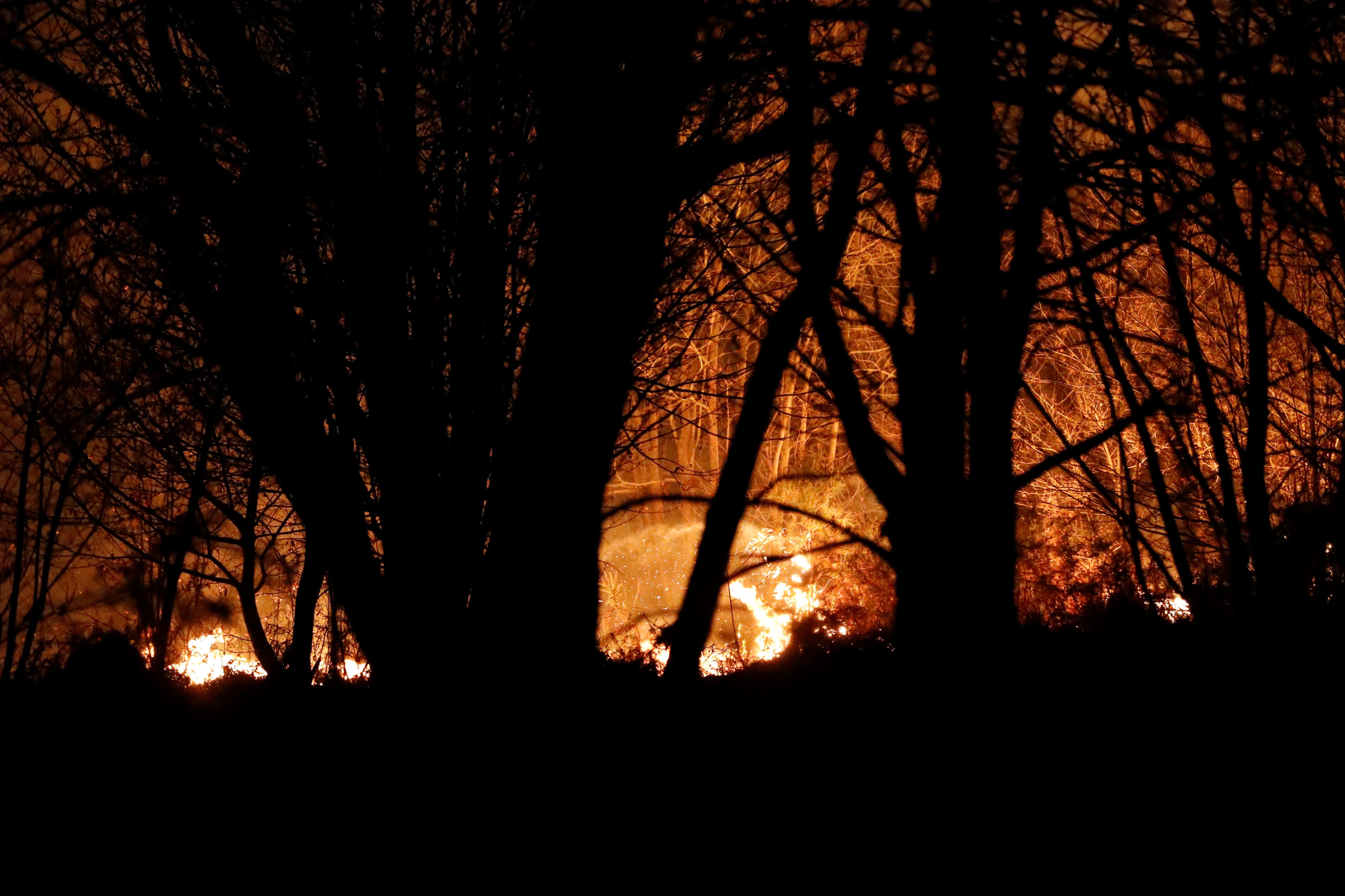 El norte de España se ha visto asolado este fin de semana con más de un centenar de incendios que han afectado duramente a Asturias, Cantabria y Vizcaya. Algunos de ellos ya están controlado, pero, en el Principado, 99 de ellos aún continuan en activos; mientras que en Cantabria el número de incendios activos se ha rebajado de 21 a 17, de un total de más de 60 que fueron provocados en la comunidad autónoma.