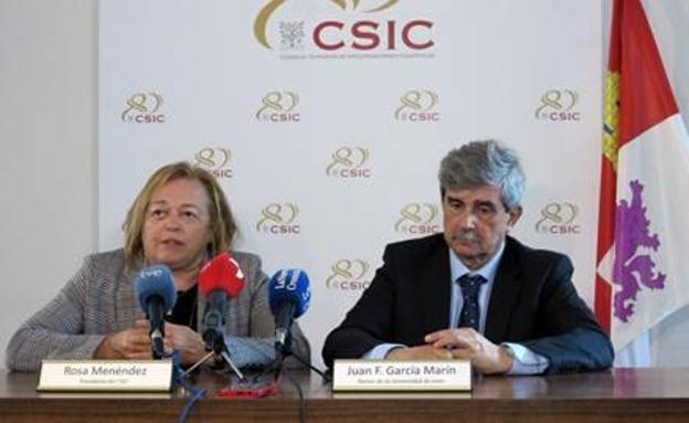 La presidenta del CSIC, Rosa Menéndez, junto al rector de la Universidad de León, Juan F. García Marín, durante la visita.