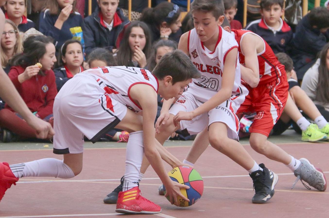 Fotos: La final del Torneo de Minibasket del Colegio Leonés