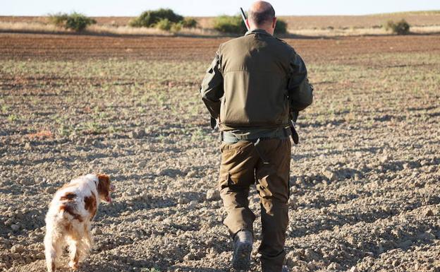 Un cazador en un coto de una localidad zamorana. 