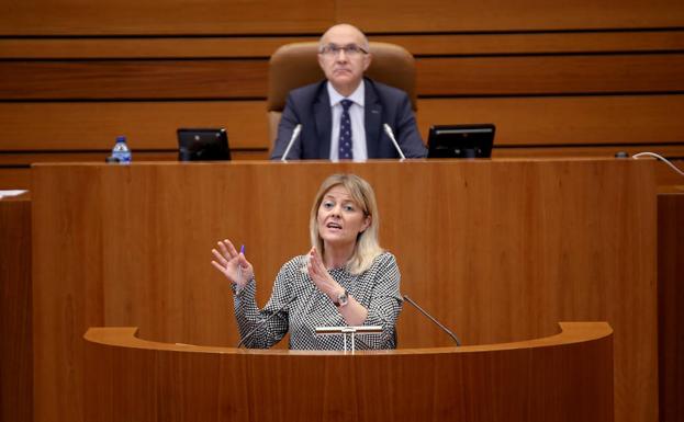 La procuradora socialista Ana María Agudiez durante su intervención en el Pleno de las Cortes de Castilla y León.