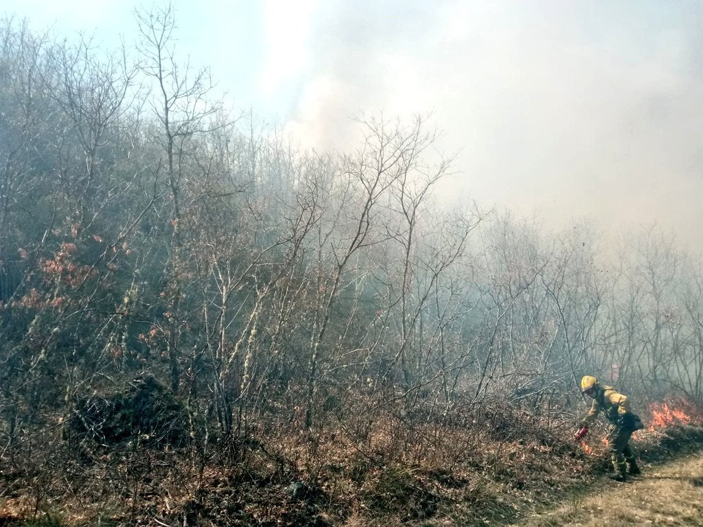 Fotos: Incendio en la localidad de La Baña