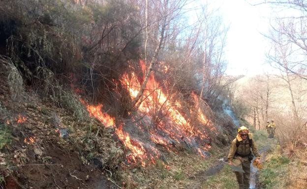 Las Brif de Tabuyo trabajan en el incendio en los montes de La Baña. 