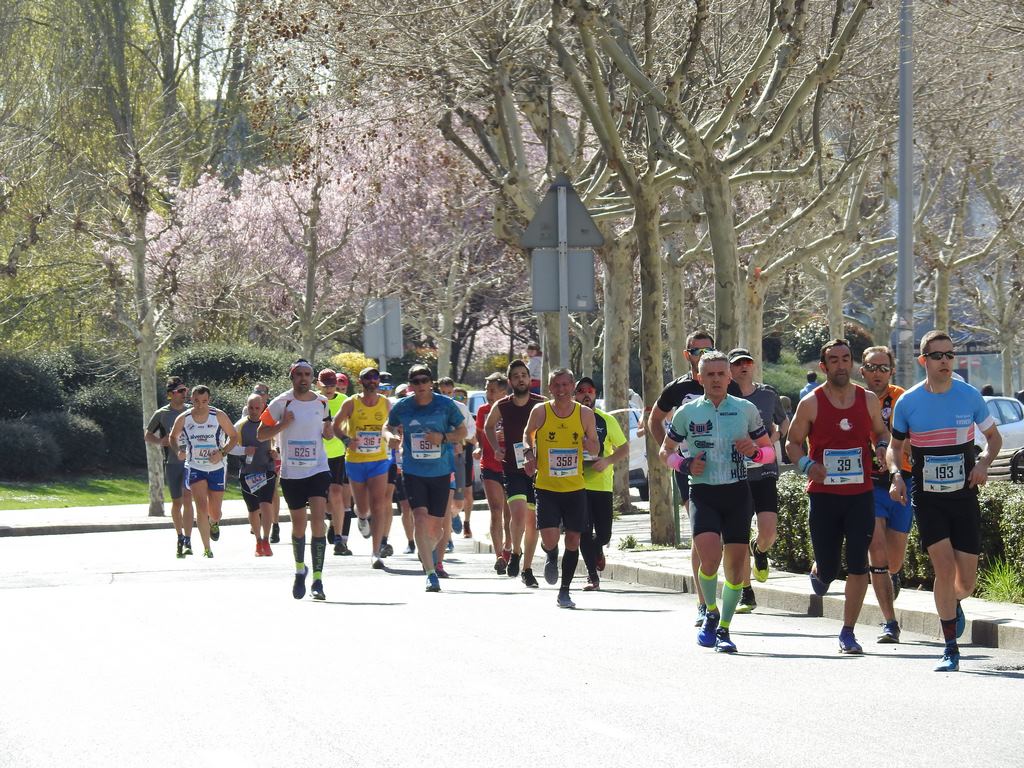 Las calles de León han acogido en la jornada dominical y con una gran participación su tradicional 'Media maratón'. La jornada se ha visto acompañada por el buen tiempo.