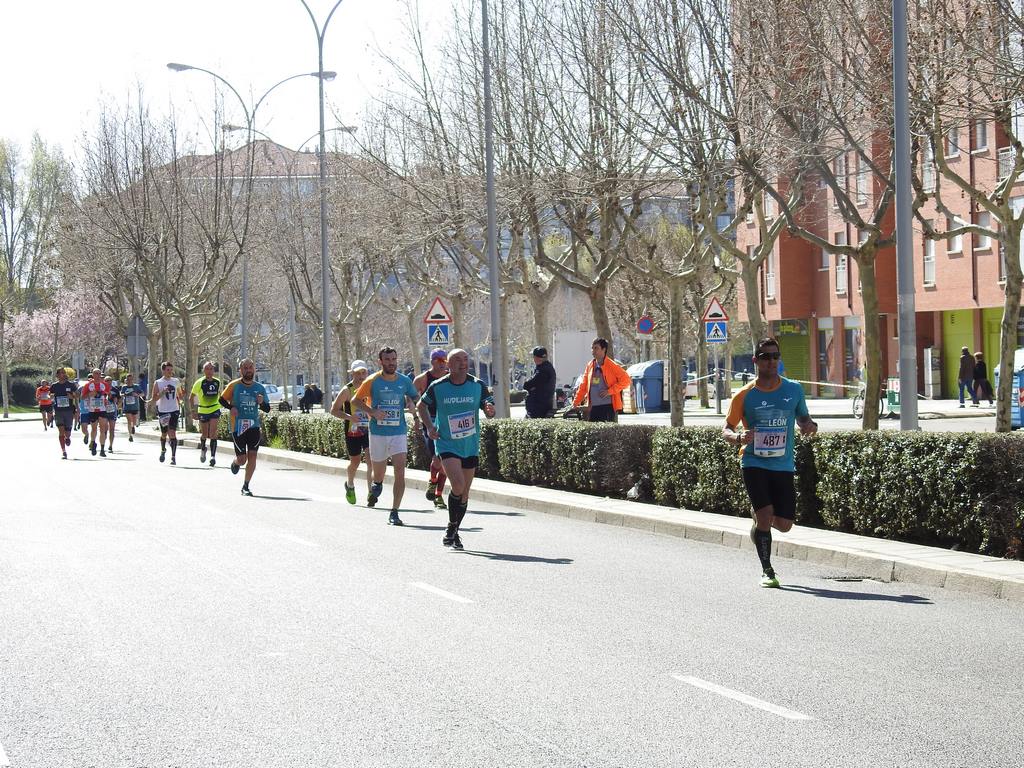 Las calles de León han acogido en la jornada dominical y con una gran participación su tradicional 'Media maratón'. La jornada se ha visto acompañada por el buen tiempo.