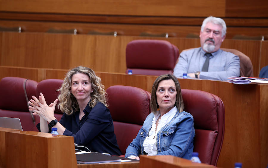 Fotos: Último pleno de la legislatura en las Cortes de Castilla y León