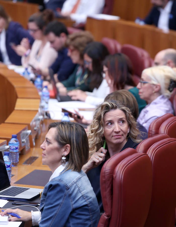 Fotos: Último pleno de la legislatura en las Cortes de Castilla y León