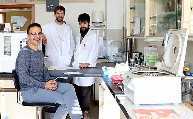 Descifran los mecanismos moleculares que regulan el estrés oxidativo en bacterias