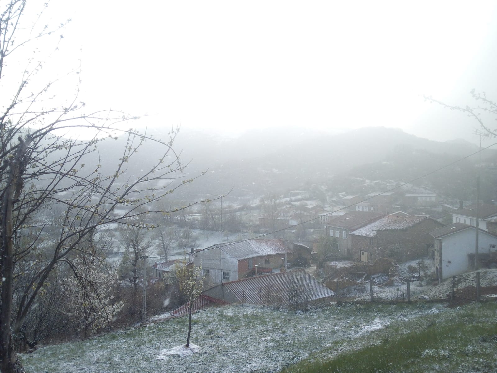 Fotos: León mantiene la alerta amarilla por nevadas