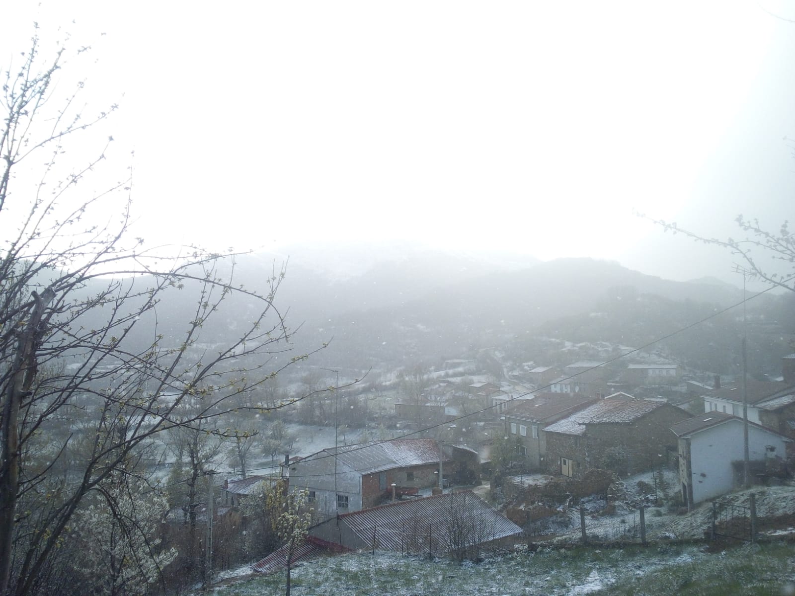 Fotos: León mantiene la alerta amarilla por nevadas