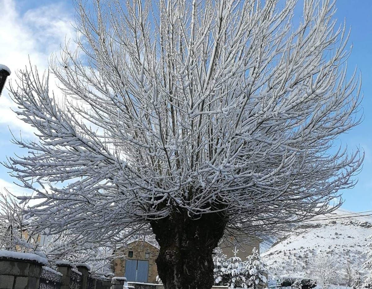 Las estampas invernales se han reproducido en las últimas horas en la provincia de León, en la que la nieve ha regresado a las zonas de montaña