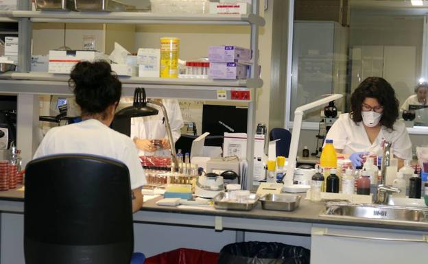 Laboratorio de la gripe del Hospital Clínico de Valladolid. :: 