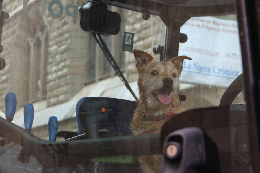 Fotos: Un peregrinaje en tractor