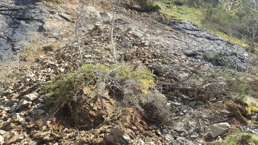 Fotos: Un desprendimiento en Picos de Europa