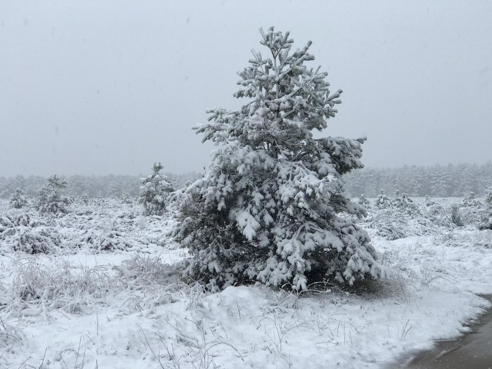 Fotos: La nieve regresa a la provincia