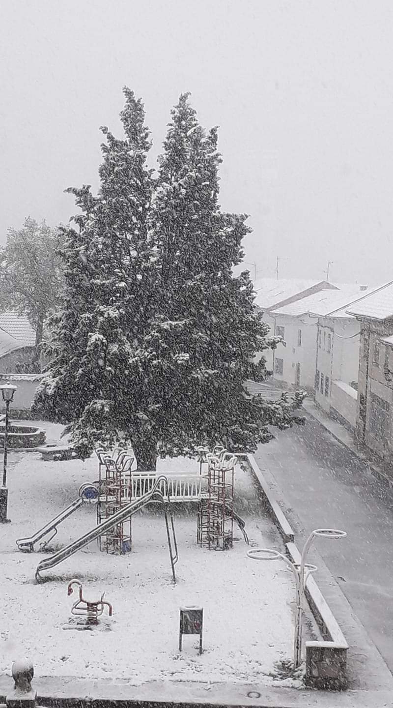 Fotos: La nieve regresa a la provincia