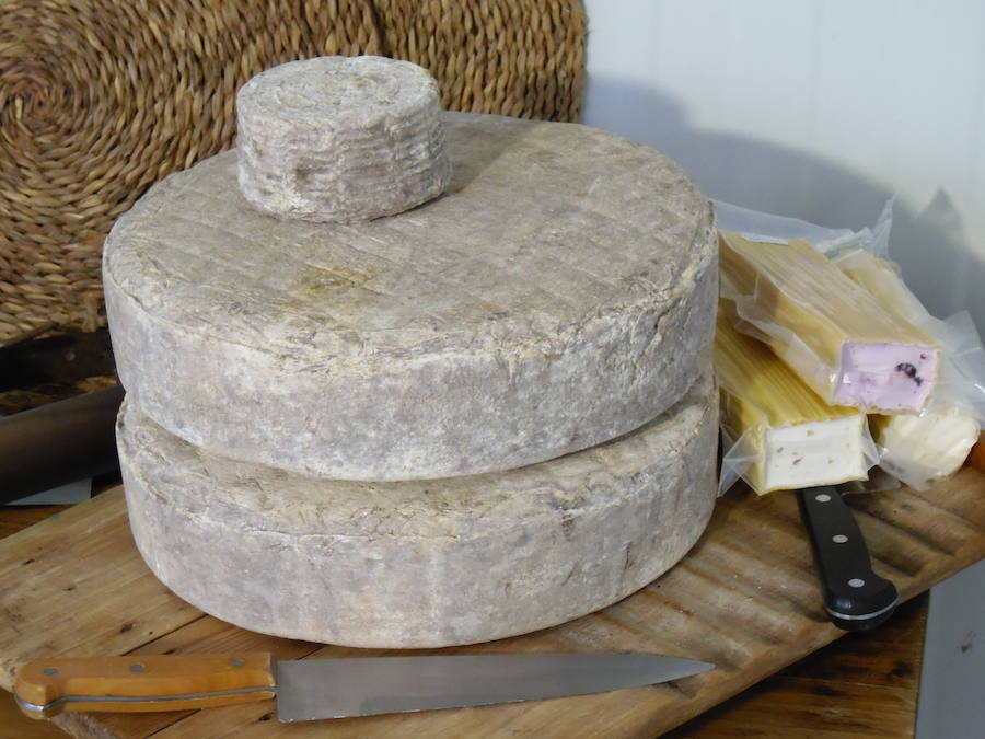 Emanando del sabor de la montaña surgen los quesos de Facendera. Unos quesos con el auténtico sabor de León y que se basan en las ancestrales recetas de los dos tipos de queso tradicionales elaborados en las comarcas de Babia y Laciana.