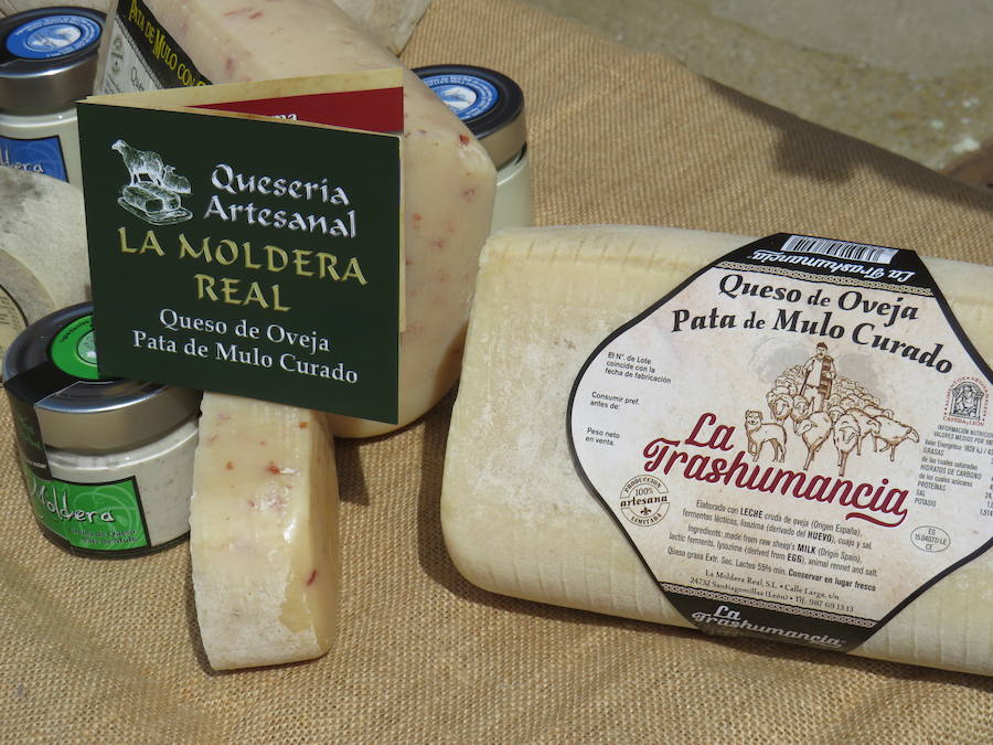 El sabor de la tradición es la Moldera Real quesos Trashumancia. Situada en la localidad leonesa de Santiago Millas, elabora de forma tradicional quesos artesanos pata de mulo, quesos redondo y quesos en aceite.
