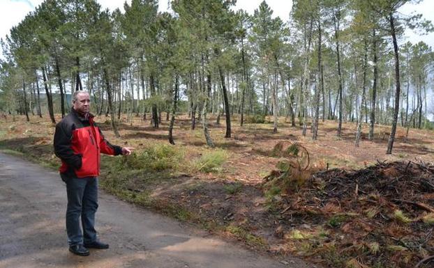 El alcalde de Navasfrías en la zona de monte público afectada por las restricciones. 