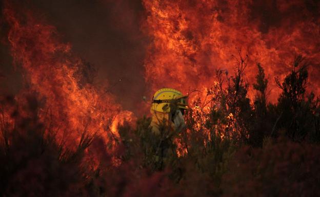 Galería. Imágenes el lugar del incendio.