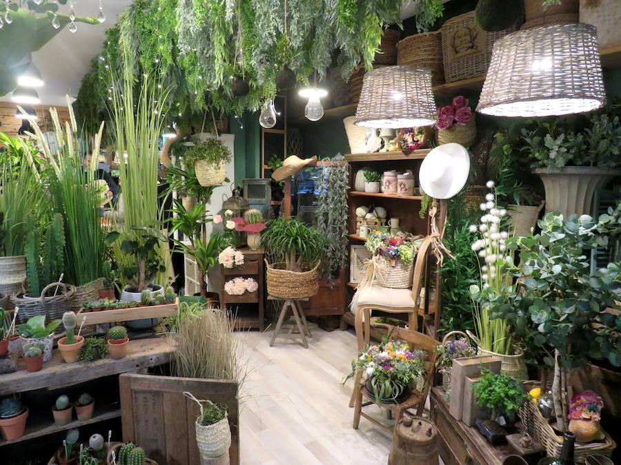 Flores, plantas y regalos a precios inigualables con los que sorprender con un regalo sorprendente y original en este Día de la madre. Cualquier regalo para decoración del hogar está disponible en 'El Capricho'. 