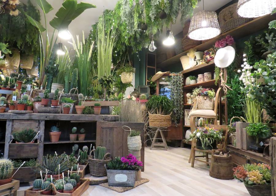 Flores, plantas y regalos a precios inigualables con los que sorprender con un regalo sorprendente y original en este Día de la madre. Cualquier regalo para decoración del hogar está disponible en 'El Capricho'. 