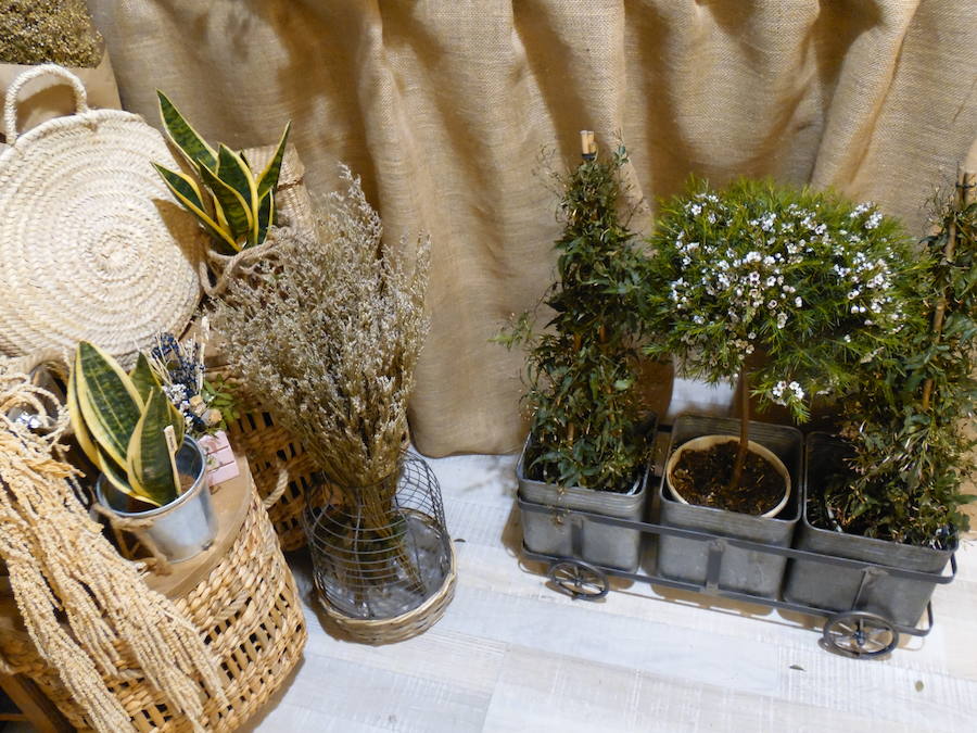 Flores, plantas y regalos a precios inigualables con los que sorprender con un regalo sorprendente y original en este Día de la madre. Cualquier regalo para decoración del hogar está disponible en 'El Capricho'. 