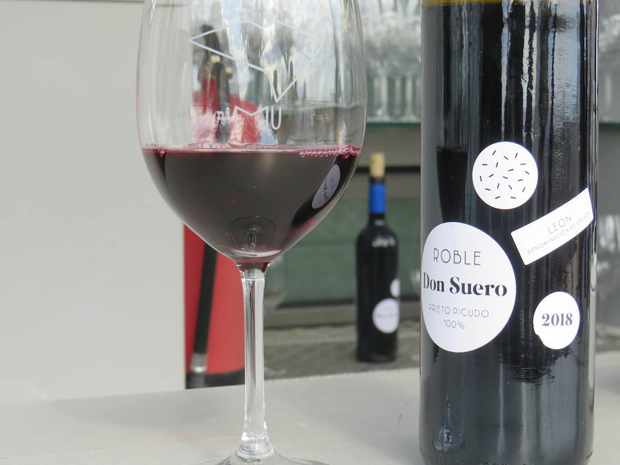 Fotos: Un nuevo vino en el mercado leonés, el Don Suero Roble