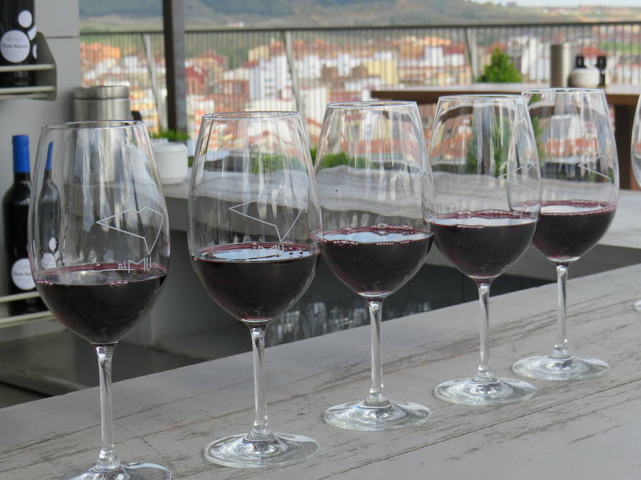 Fotos: Un nuevo vino en el mercado leonés, el Don Suero Roble