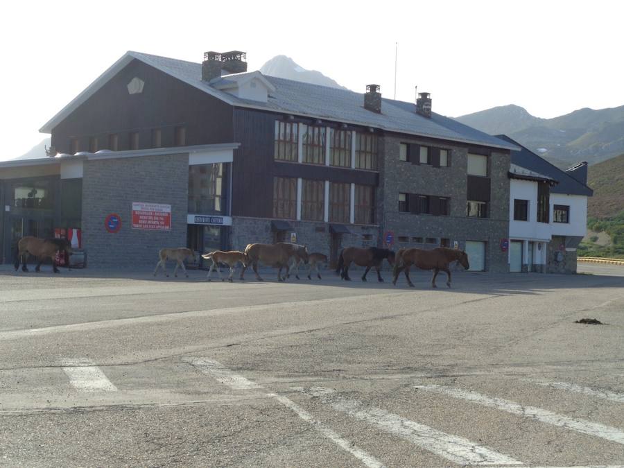 Esta entidad sostiene que la estación se encuentra en la más absoluta «decadencia«, ante la falta de «inversión, modernización y ampliación»