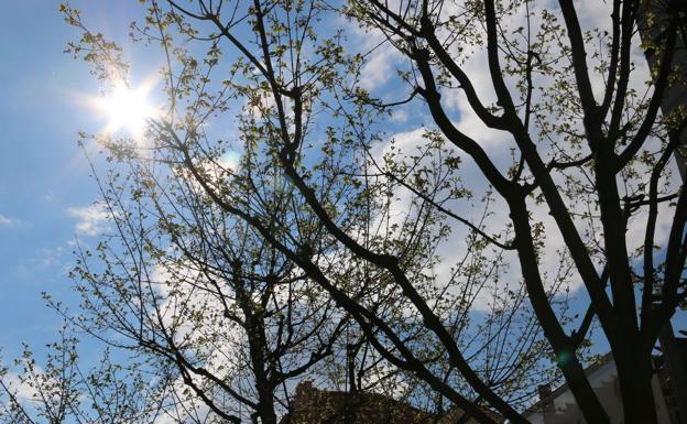 El calor no termina de llegar a León. 