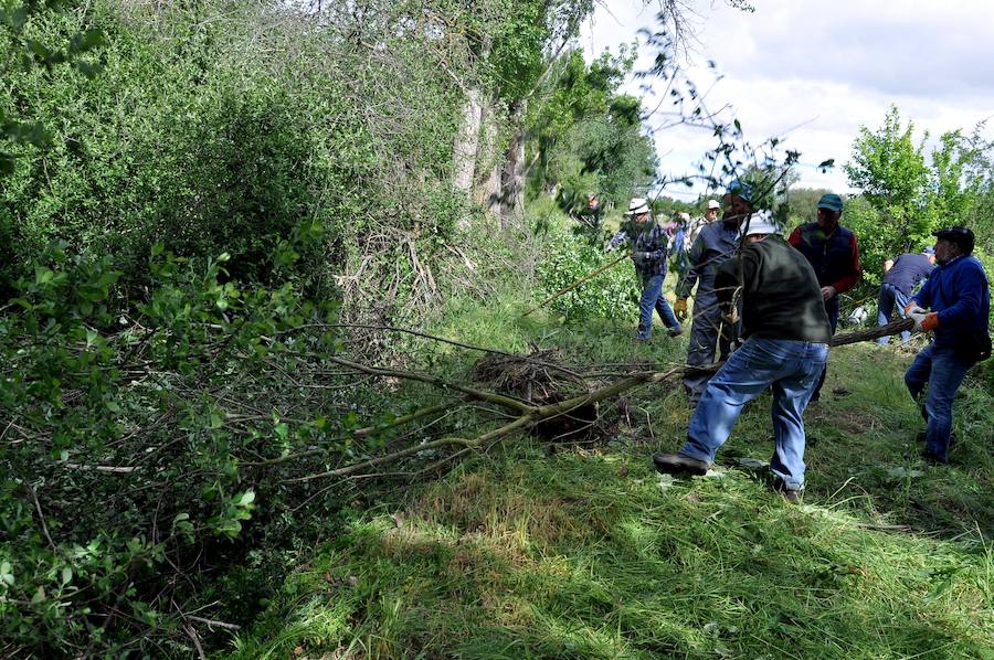 Fotos: Concluye la recuperación del tramo Palacios-La Bañeza de la calzada romana que unía Astorga y Zaragoza