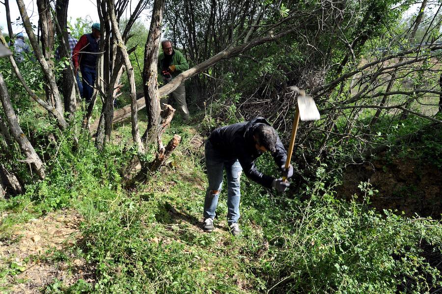 Fotos: Concluye la recuperación del tramo Palacios-La Bañeza de la calzada romana que unía Astorga y Zaragoza