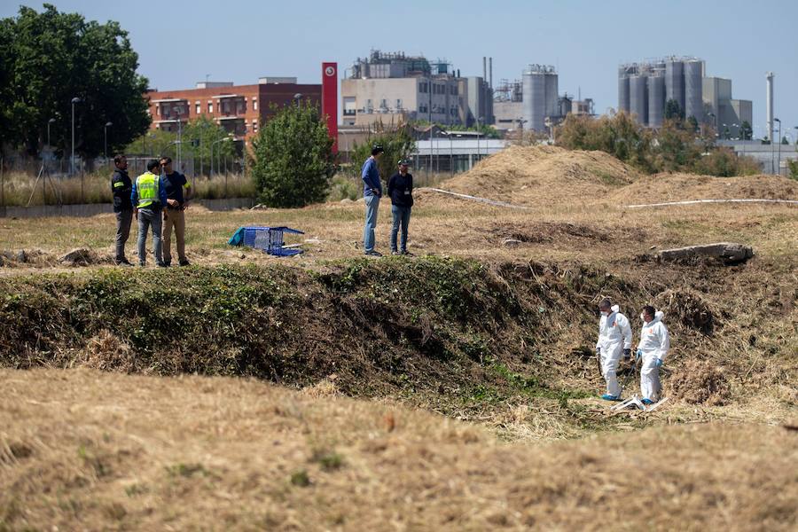 La policía científica revisa el solar donde aprecieron los restos de una mujer en El Prat de Llobregat (Barcelona).