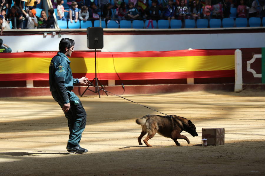 Fotos: Exhibición de la Guardia Civil en León