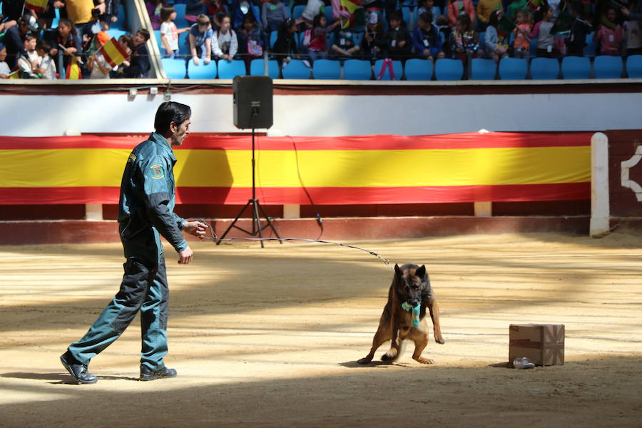 Fotos: Exhibición de la Guardia Civil en León