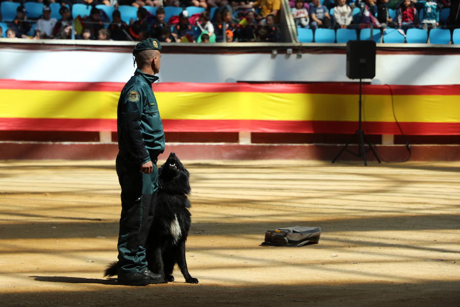 Fotos: Exhibición de la Guardia Civil en León