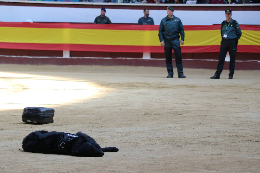 Fotos: Exhibición de la Guardia Civil en León