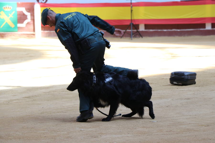 Fotos: Exhibición de la Guardia Civil en León