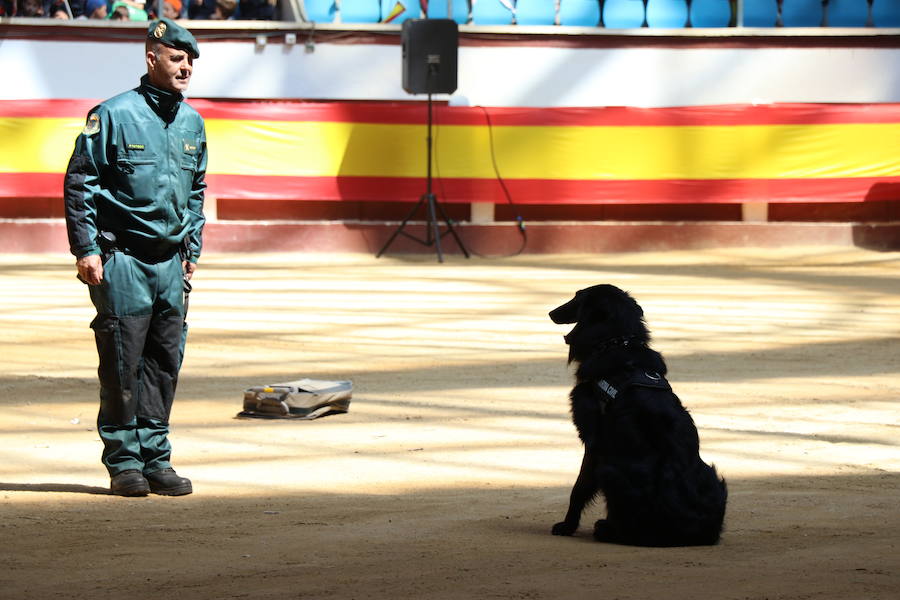 Fotos: Exhibición de la Guardia Civil en León