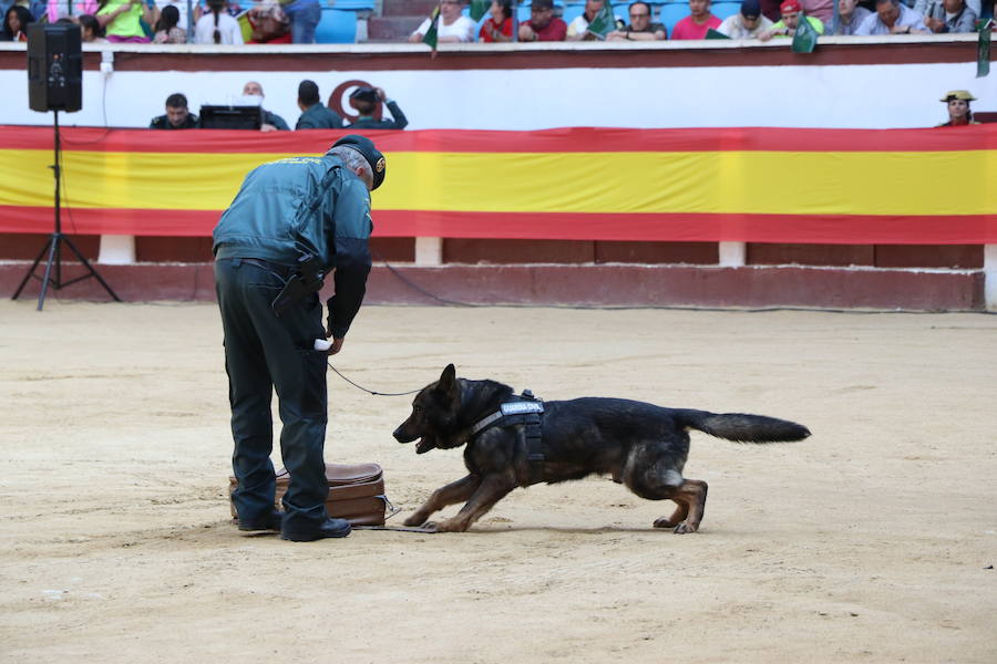 Fotos: Exhibición de la Guardia Civil en León