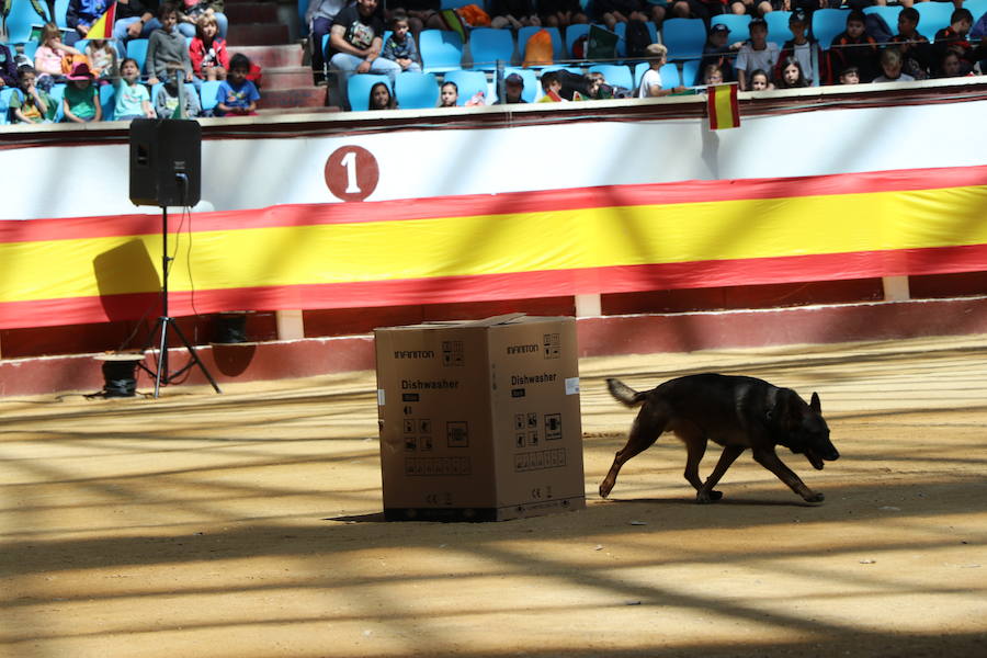 Fotos: Exhibición de la Guardia Civil en León