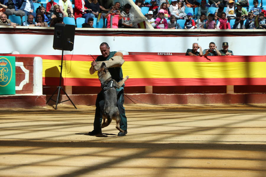 Fotos: Exhibición de la Guardia Civil en León