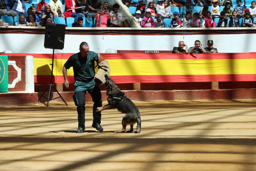 Fotos: Exhibición de la Guardia Civil en León