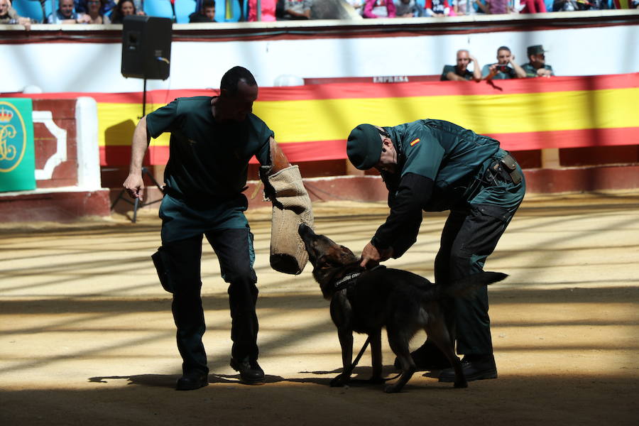 Fotos: Exhibición de la Guardia Civil en León