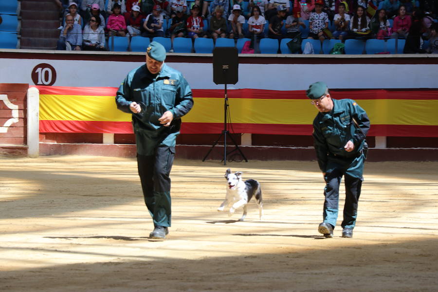 Fotos: Exhibición de la Guardia Civil en León