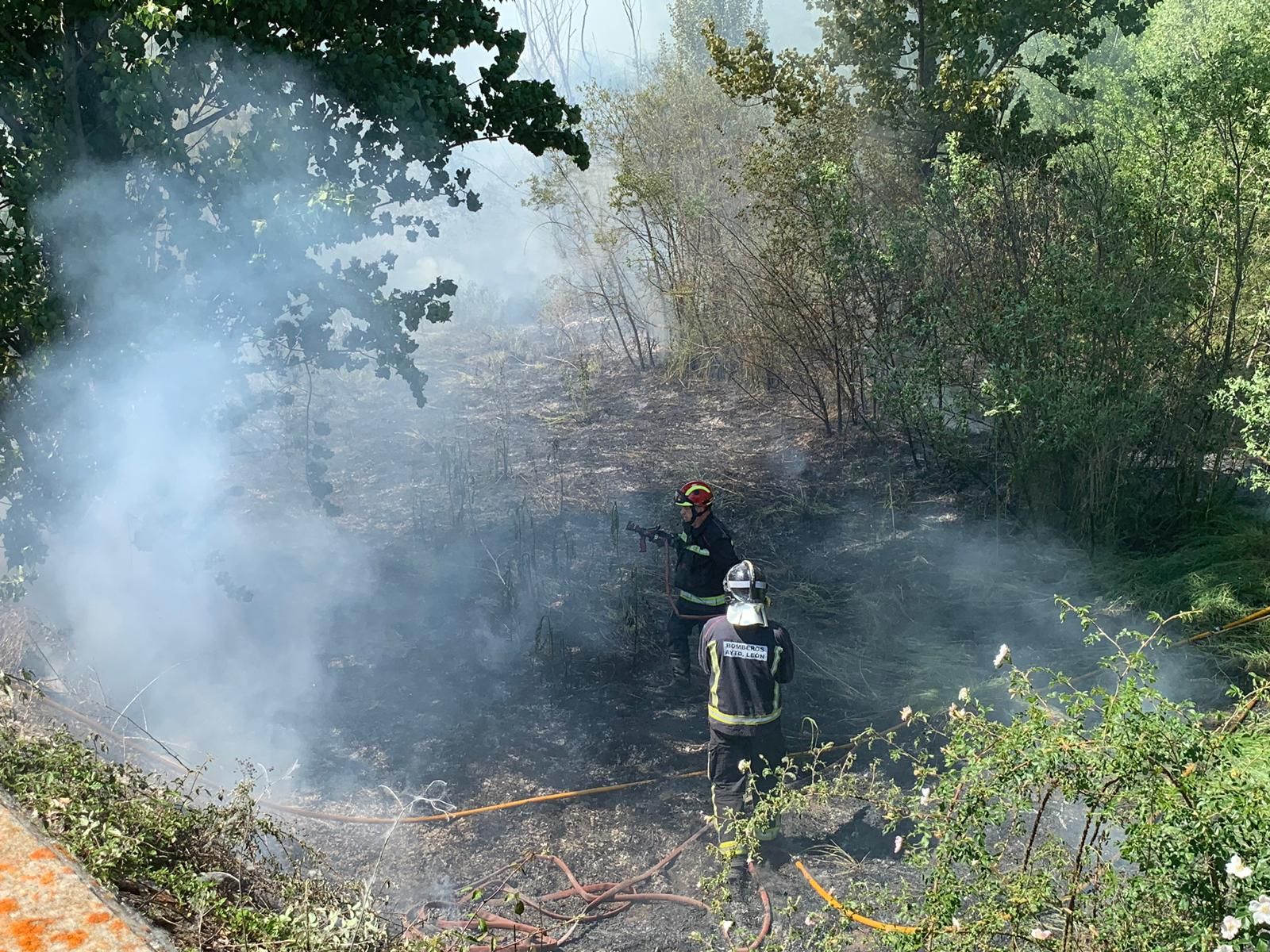 Un incendio en el entorno del río a la altura del Área 17 de León obliga a intervenir a Bomberos