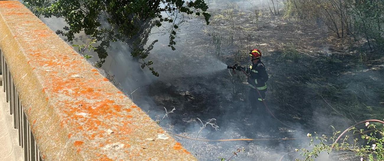 Un incendio en el entorno del río a la altura del Área 17 de León obliga a intervenir a Bomberos