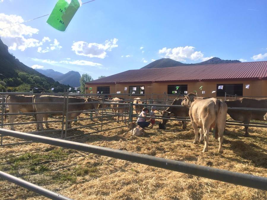 Fotos: Puebla de Lillo, lo mejor de la montaña