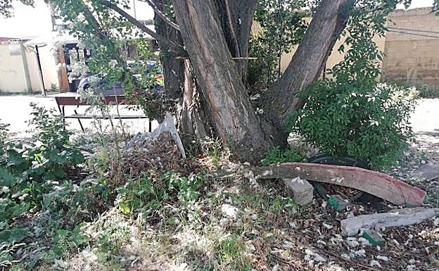 UPL reclama al Ayuntamiento de León el adecentamiento de los alrededores de la Protectora